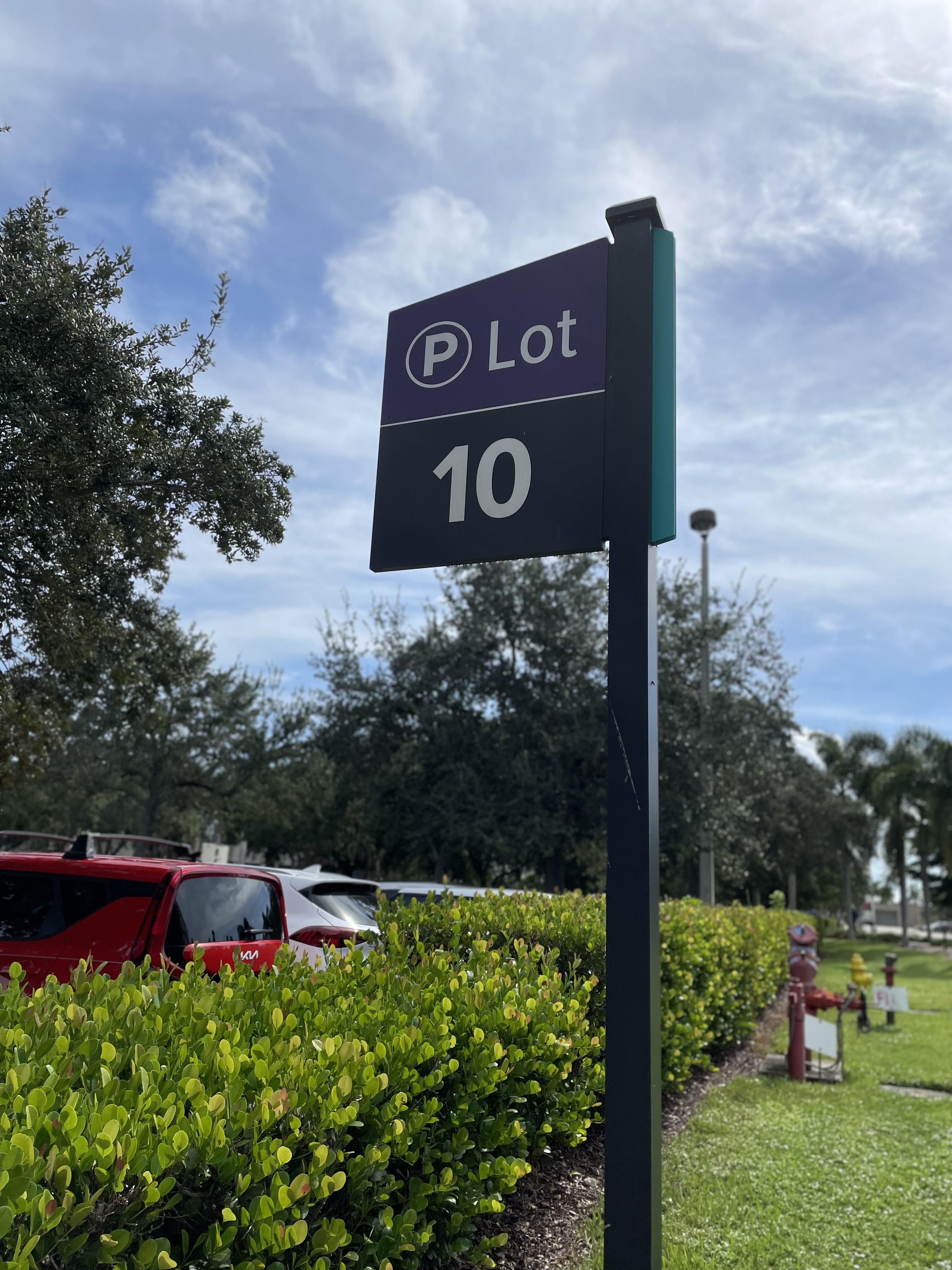 Blue sign marked P Lot 10 stands tall in a parking area surrounded by green bushes, parked cars, trees under a cloudy sky.