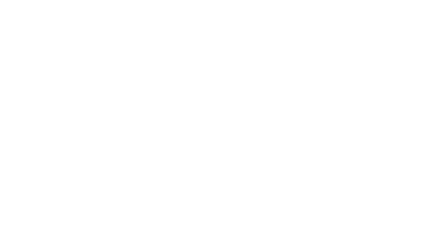STEMatFSWLOGO_White.png.